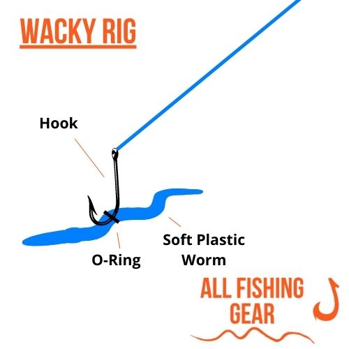 Wacky Rig Schematic Illustration