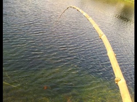 cane pole fishing