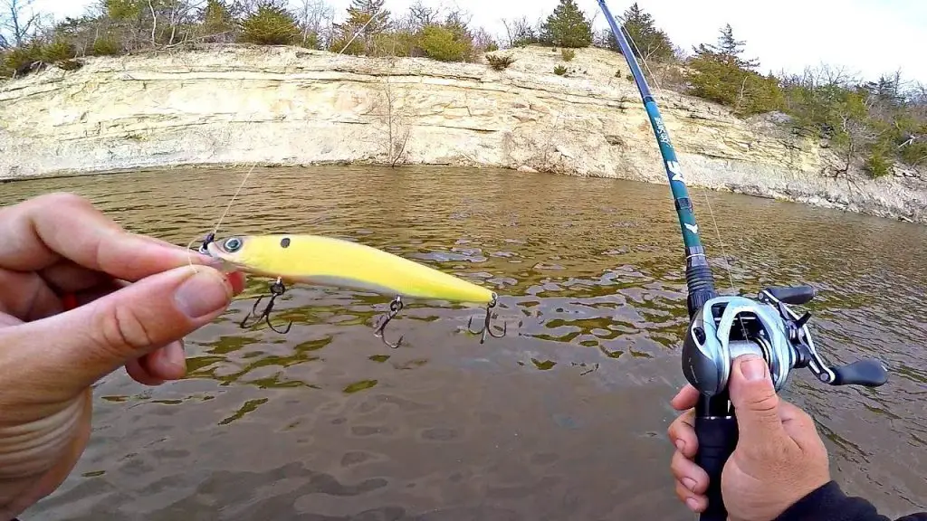 fishing for bass in muddy water