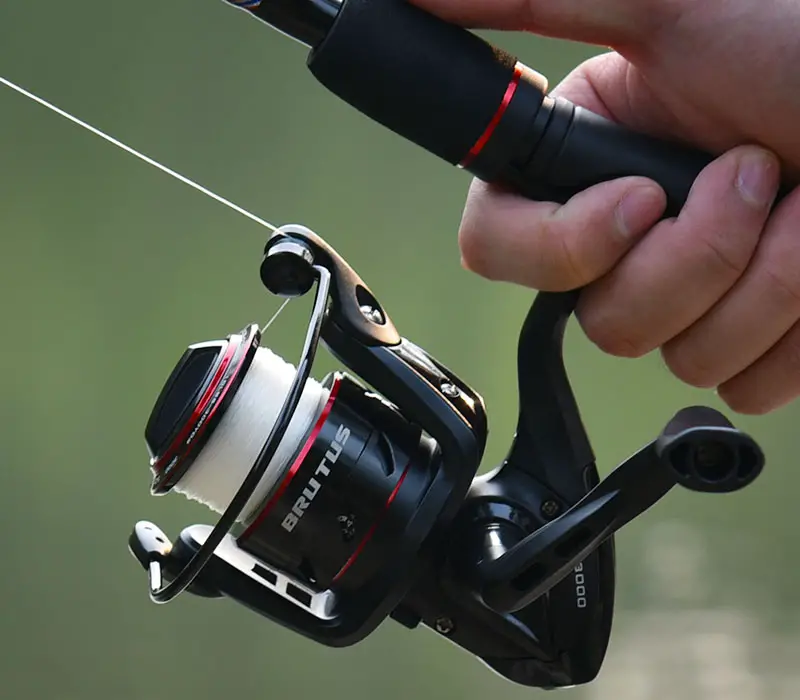 Best Gear Ratio for Bass Fishing Reels 5