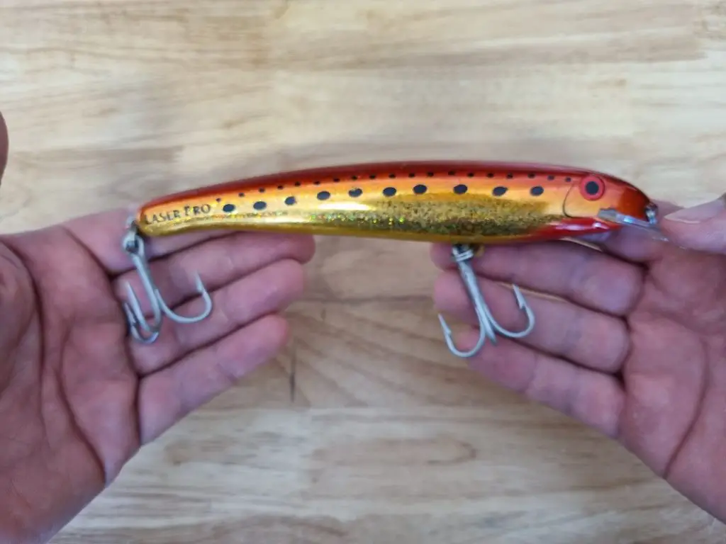 An example of a laser pro lure I have used for tuna