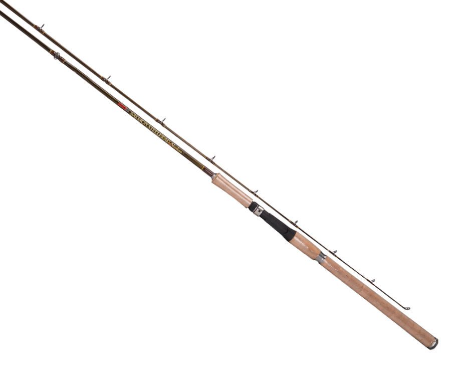8 Best Saltwater Spinning Rods + Buying Guide 19