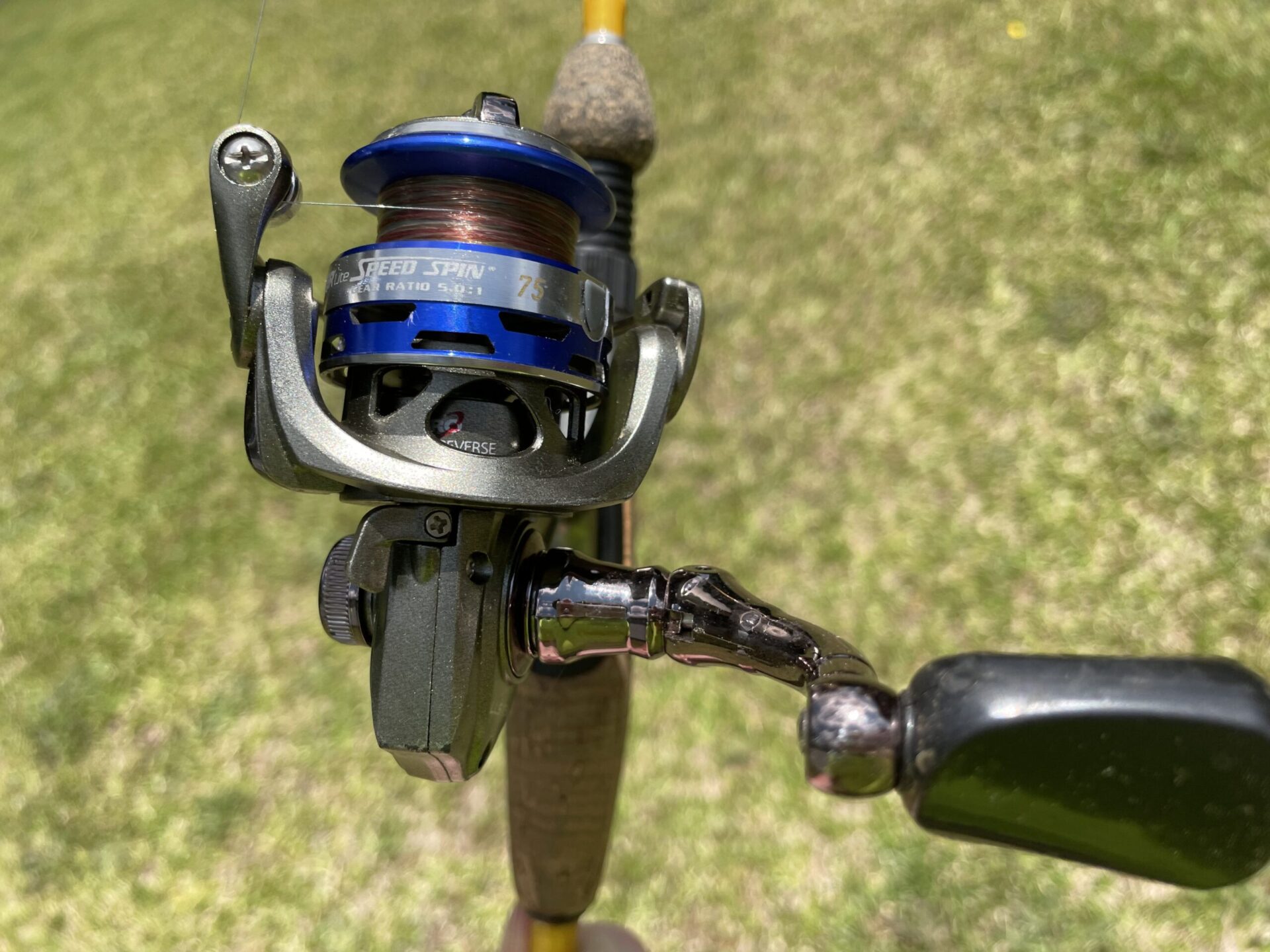 lews ultralight spinning reel