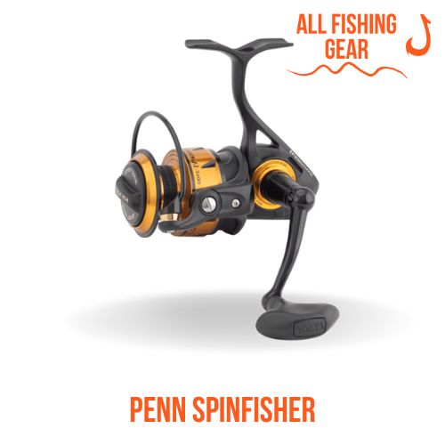 Penn Spinfisher Spinning Reel