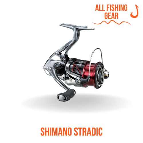 Shimano Stradic Spinning Reel