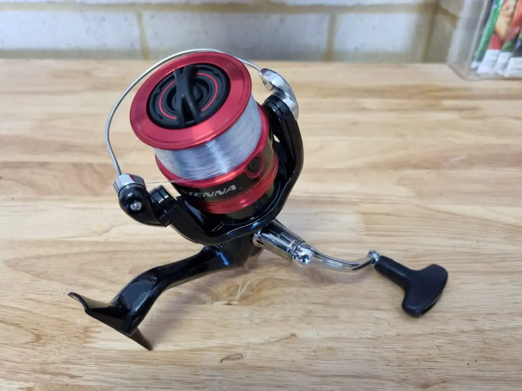 Shimano Sienna sitting on a bench, spooled with line
