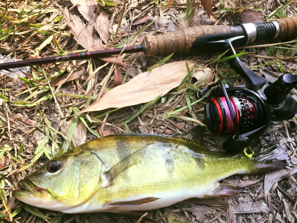 Okuma Ceymar caught a fish in the testing