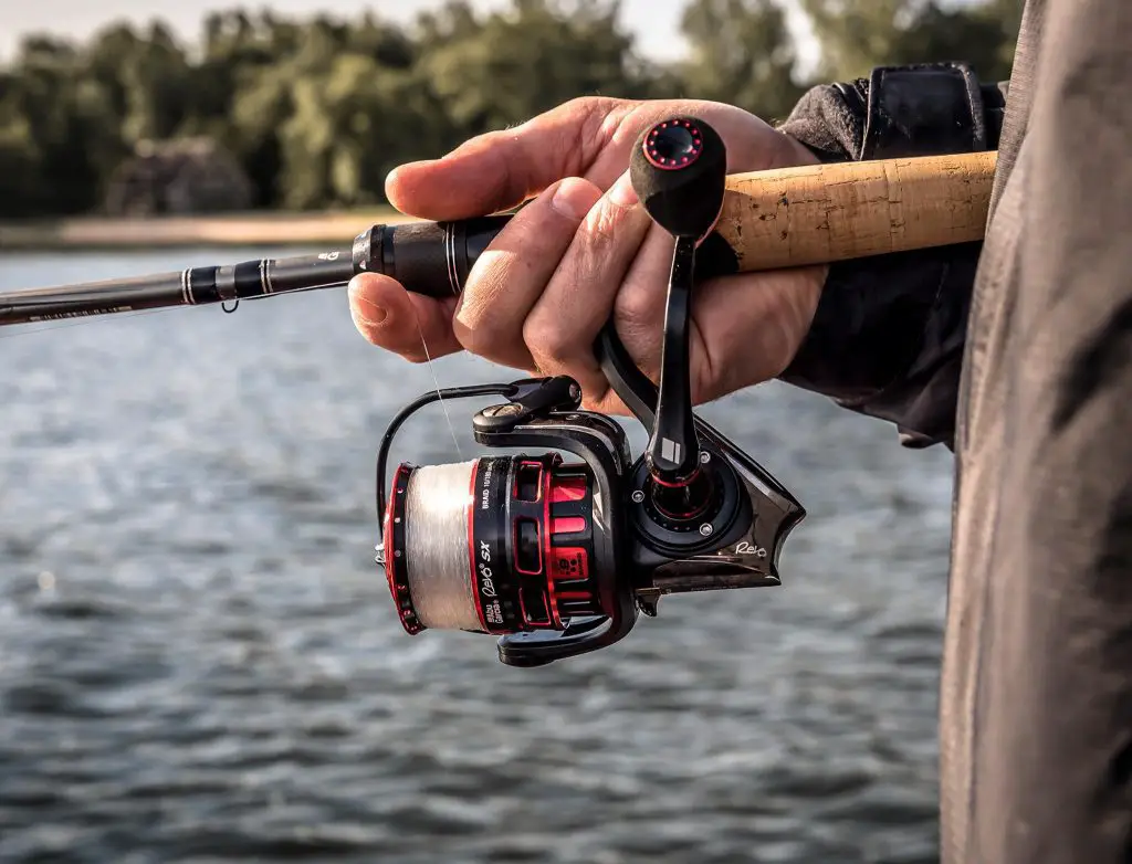 5 Best Saltwater Spinning Reels + Buying Guide 13