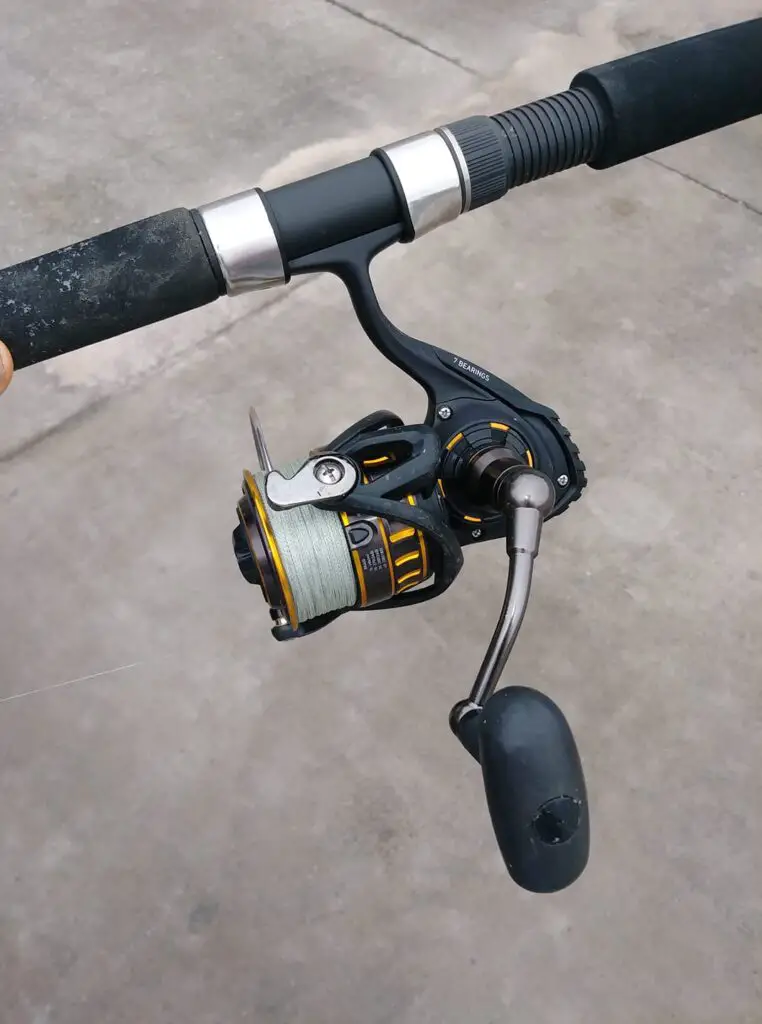 Results of the Daiwa BG Field Test