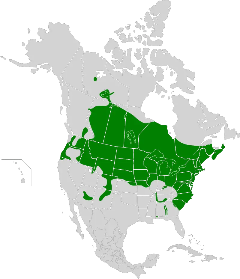 Yellow Perch Habitat Map