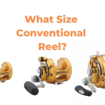 What Size Conventional Reel