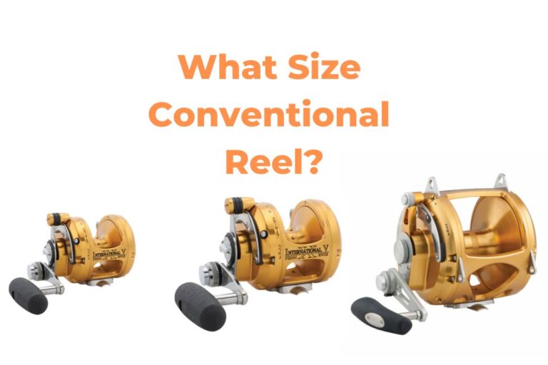 What Size Conventional Reel Do I Need? [Size Chart] – All Fishing Gear