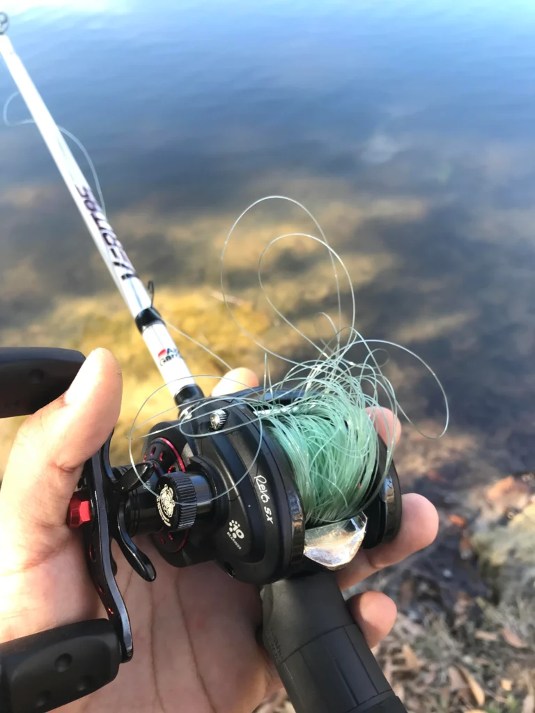 baitcaster reel bird nest