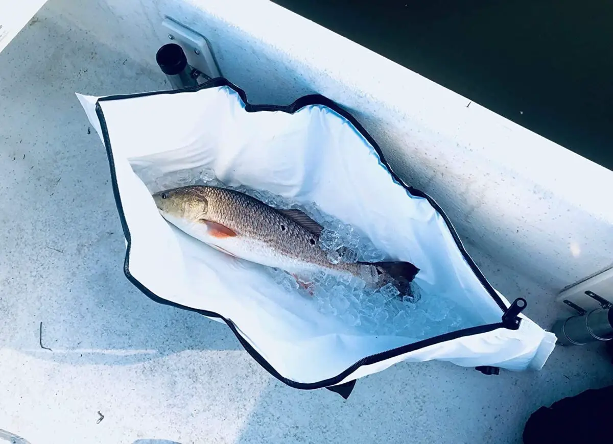 Testing the Buffalo Gear Fish Bag with a Red Drum