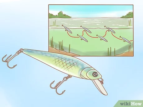 jerkbait fishing, source: wikihow