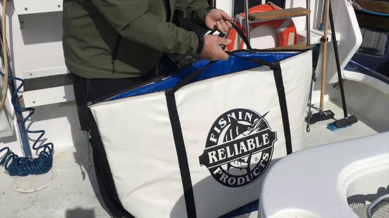 Which Insulated Fish Bags Stay Cold Longest All Fishing Gear