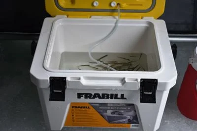 Testing a Small Frabill Live Bait Tank