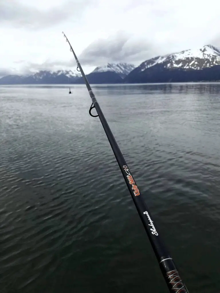 testing the ugly stik gx2 in alaska fishing