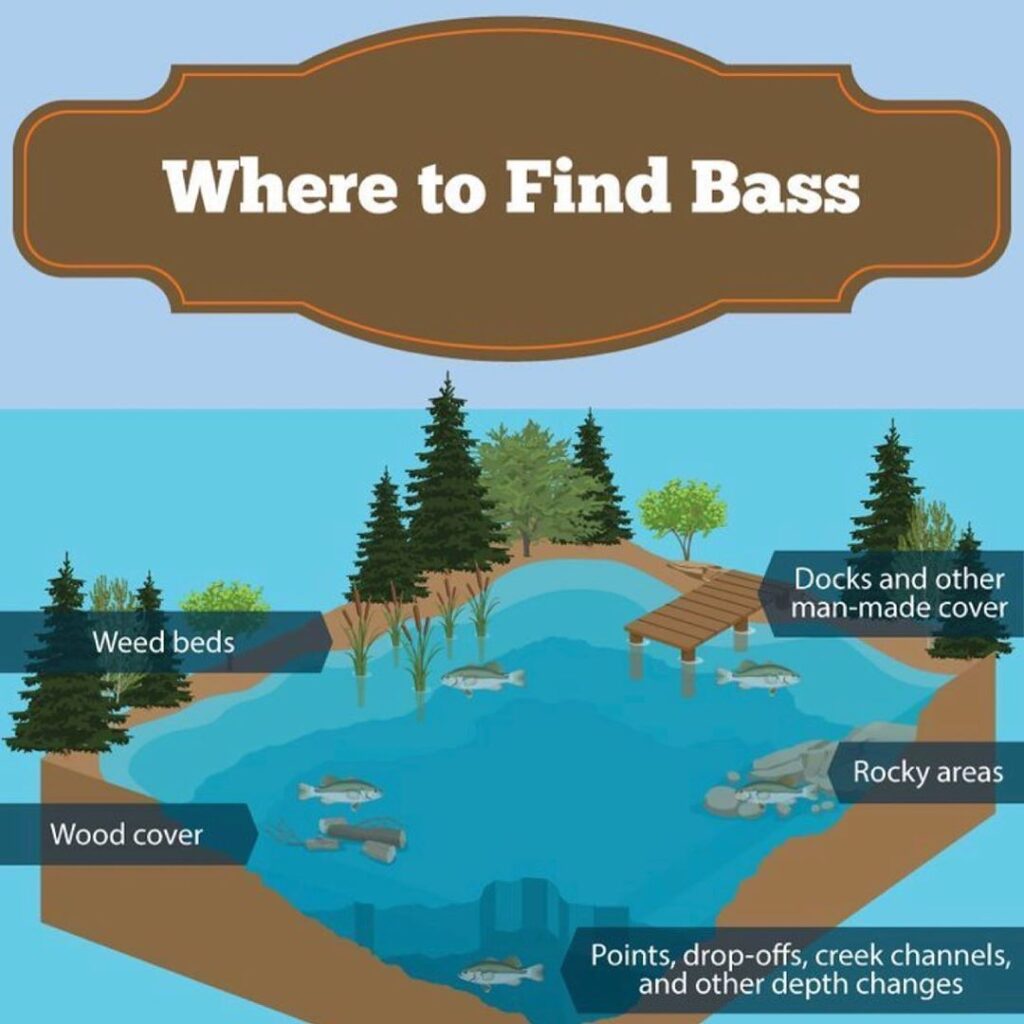Where to find bass infographic, source: pabassmaster