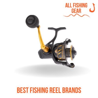 Best Fishing Reel Brands Ranked