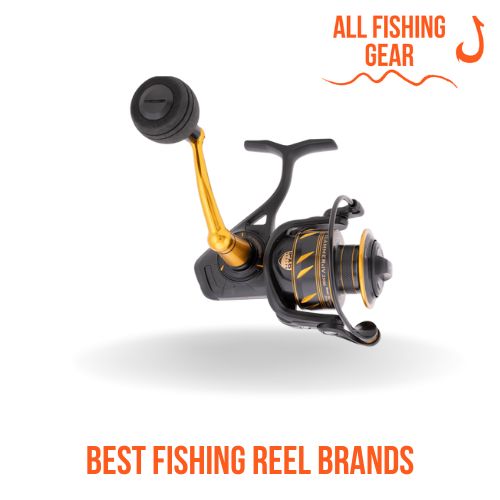 Ranking The 15 Best Fishing Reel Brands All Fishing Gear