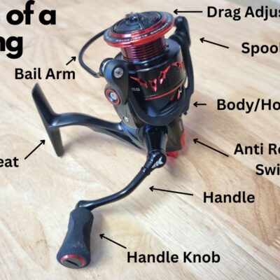 Parts of a Fishing Reel
