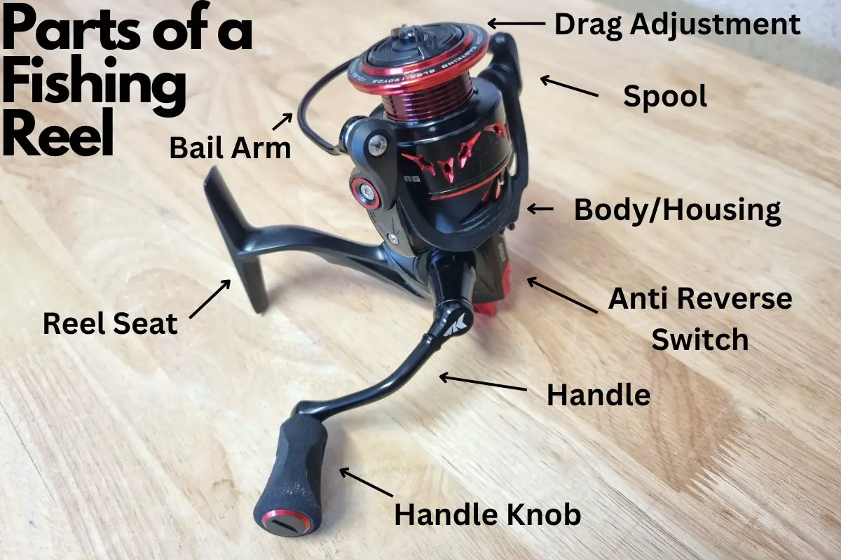 Parts of a Fishing Reel