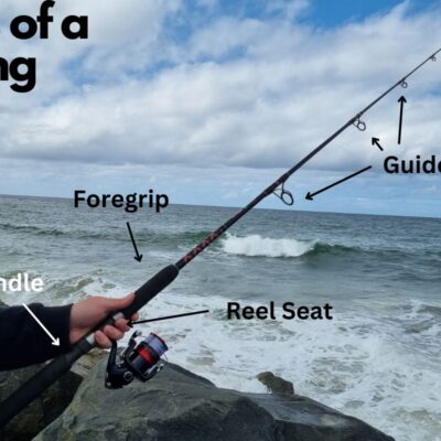 Parts of a Fishing Rod