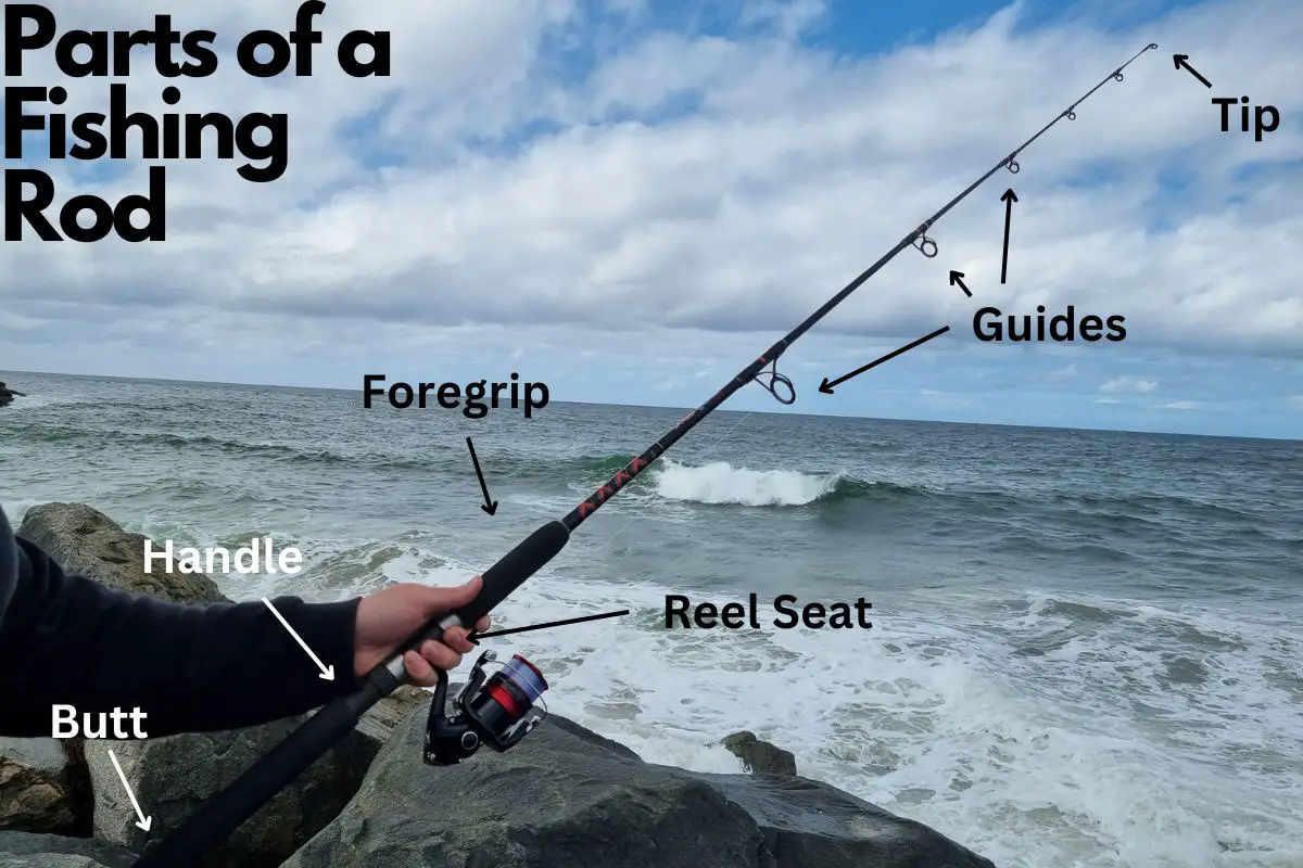 Parts of a Fishing Rod