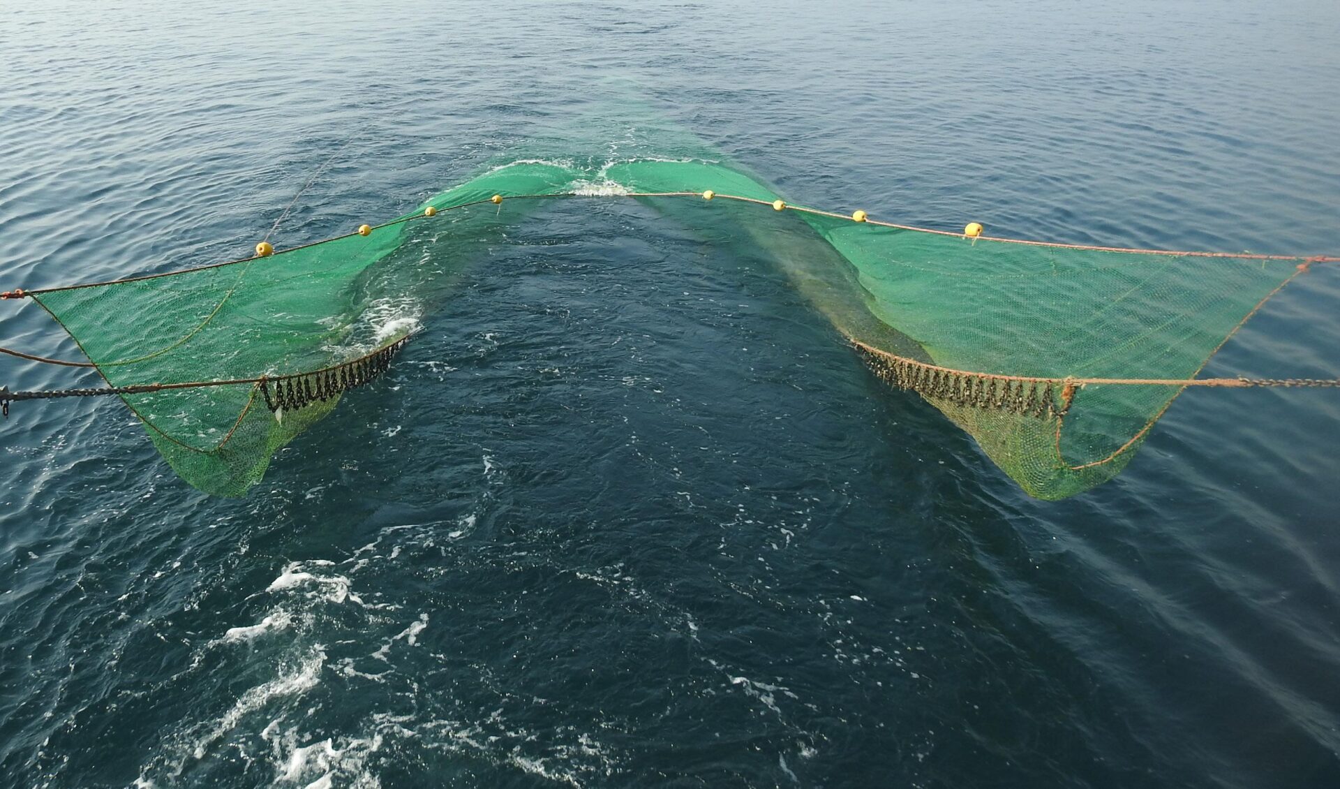 Fishing Net Size Chart All Fishing Gear