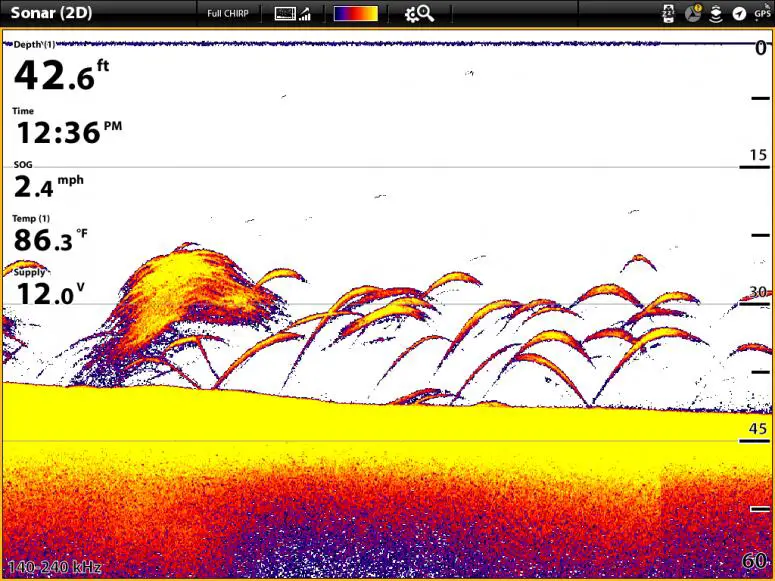 display of 2d sonar