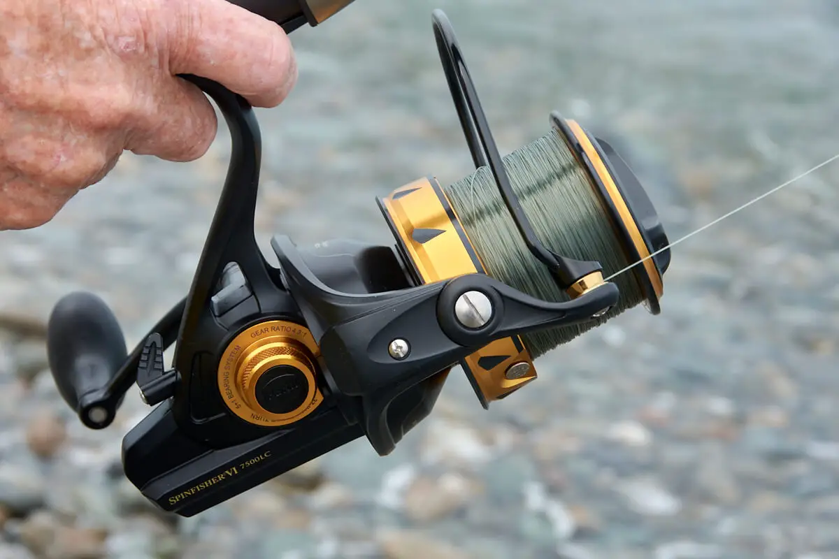 Penn Spinfisher VI vs Daiwa BG Reel Comparison 3