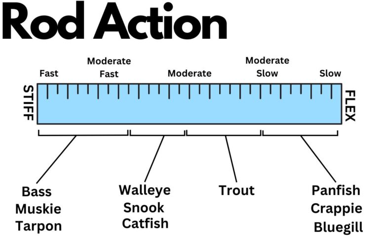 Fishing Rod Action Chart: Extra-Fast To Slow – All Fishing Gear