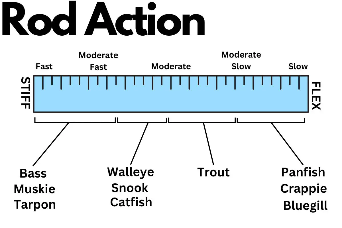 Fishing Rod Action by Species