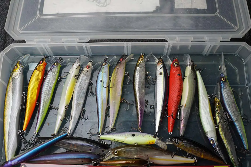 jerkbait colors