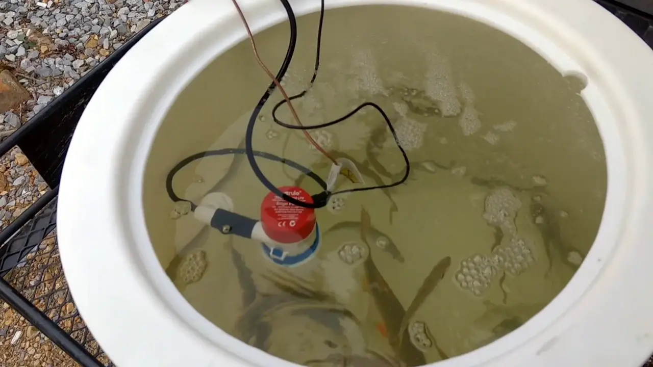Keeping Live Bait Alive Longer With Portable Live Bait Tanks All