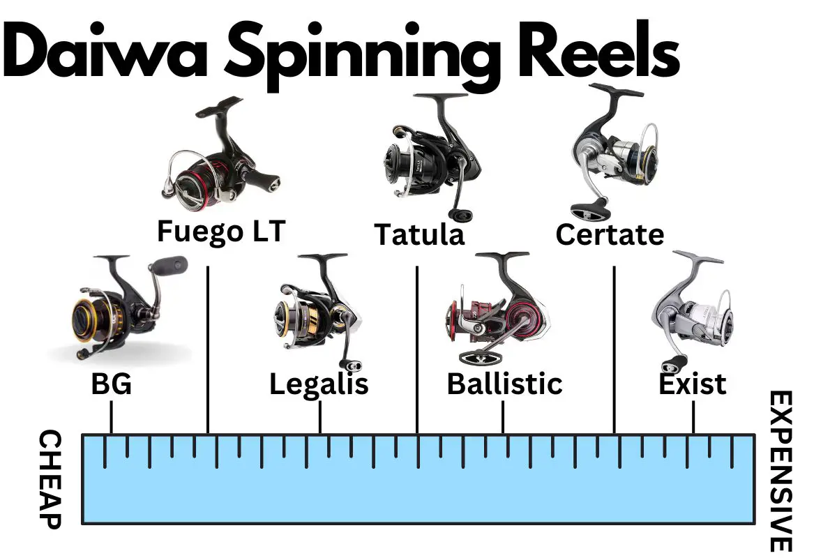 Daiwa spinning reels ranked by price